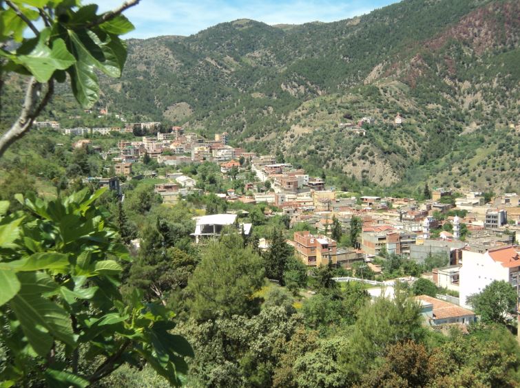 Lemroudj au printemps