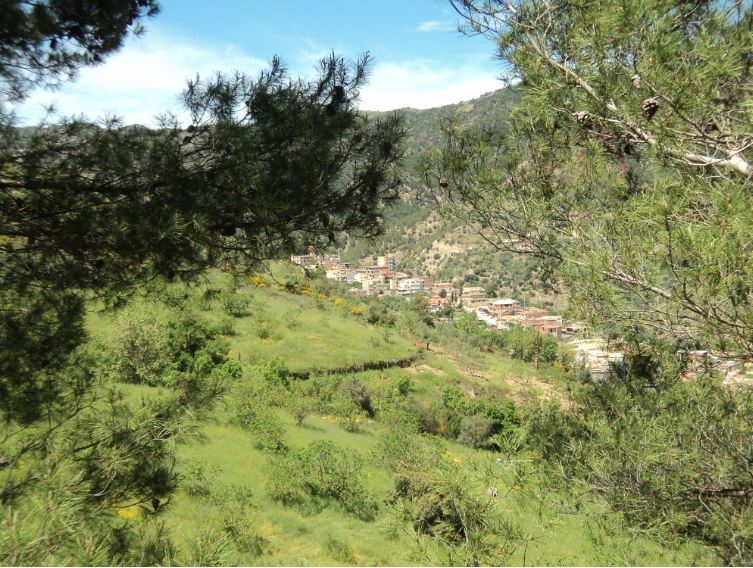 Lemroudj au printemps