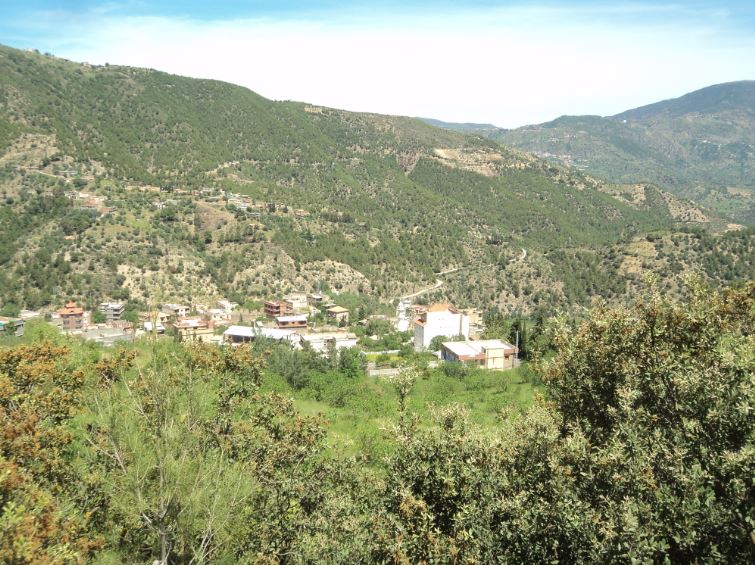 Lemroudj au printemps