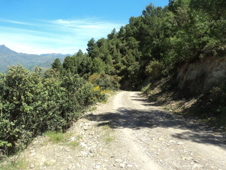 Lemroudj au printemps