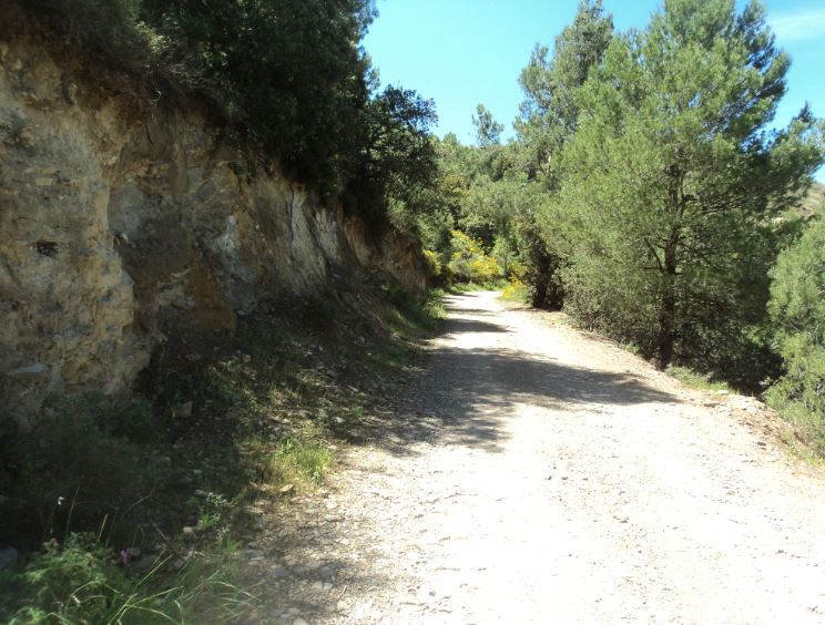 Lemroudj au printemps