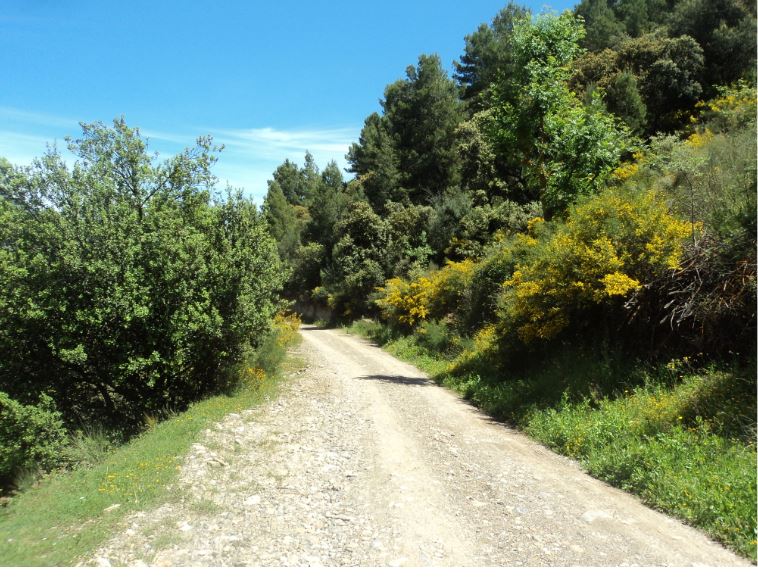 Lemroudj au printemps