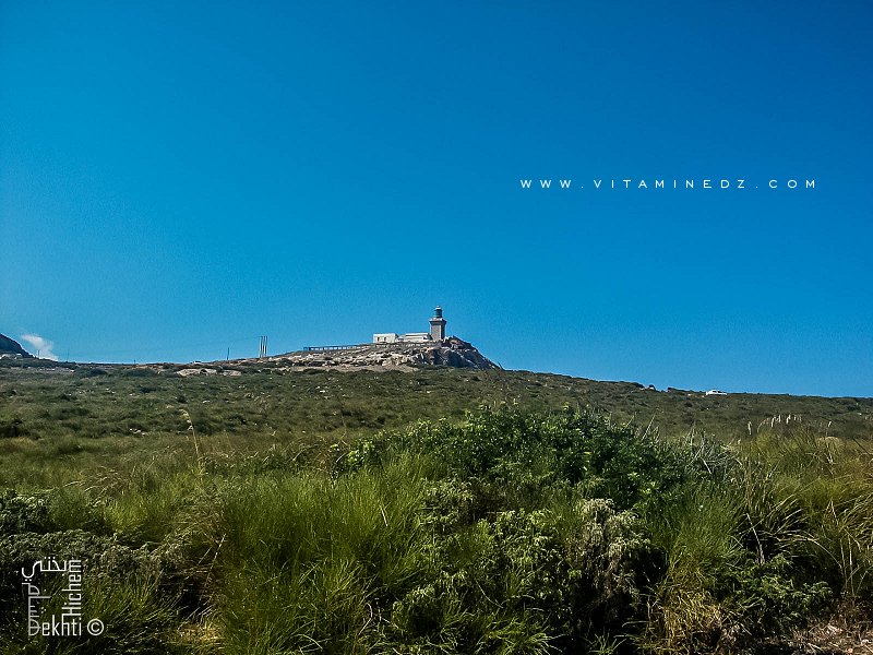Ras El Hamra abrite également la source de 