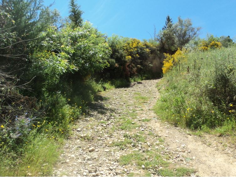 Lemroudj au printemps