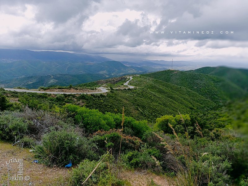 Mont Trara à partir des Beni Ouarsous