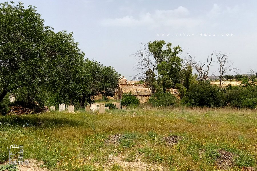 Cimetière de Ain El Hadjar (Commune de Hennaya - Tlemcen)