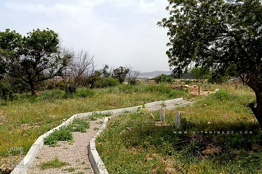Cimetière de Ain El Hadjar (Commune de Hennaya - Tlemcen)