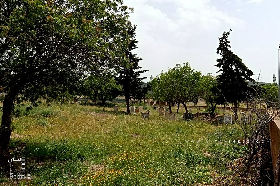Cimetière de Ain El Hadjar (Commune de Hennaya - Tlemcen)