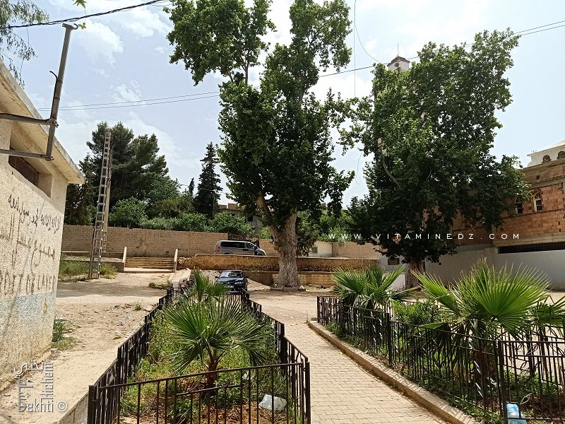 Ain Mililia 1928 (Commune de Hennaya - Tlemcen)