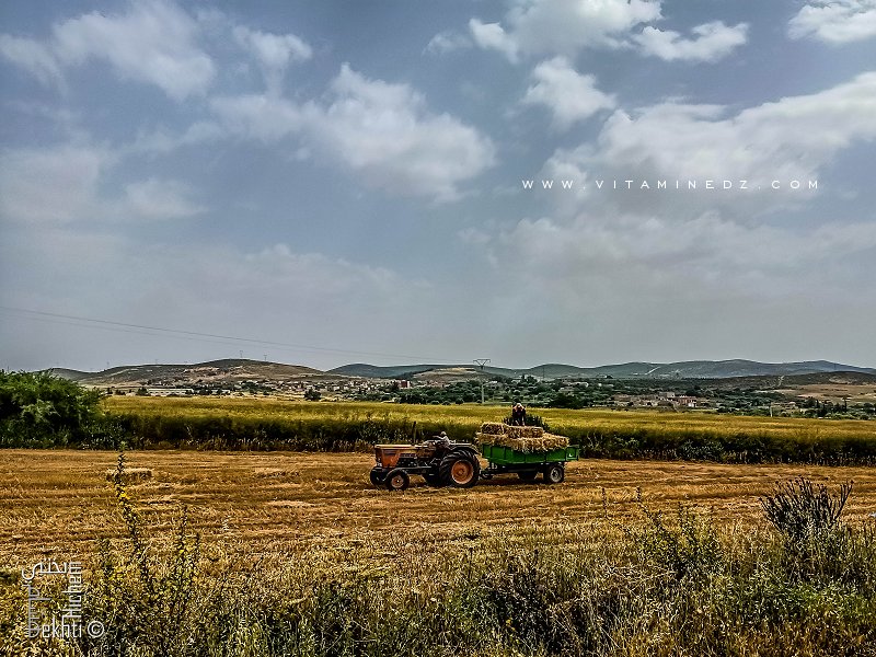 Agriculteurs du Village de Abouda (Commune de Hennaya)