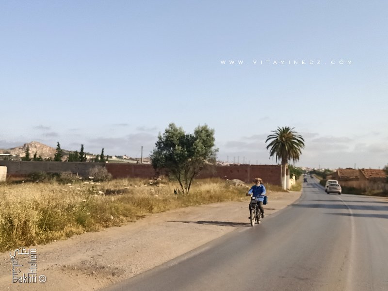 Ancienne Ferme coloniale entre Berrak et Tounane (Commune de Souahlia - Tlemcen)