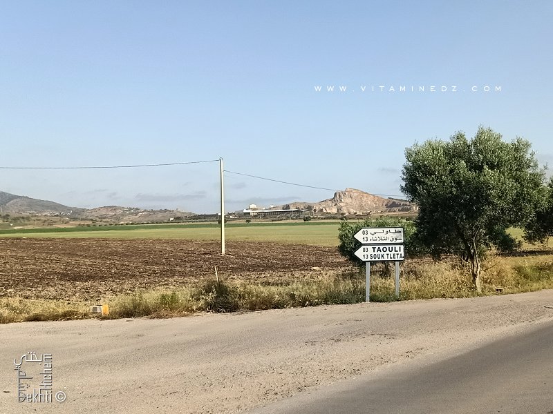 Route vers Taouli (Commune de Souahlia)