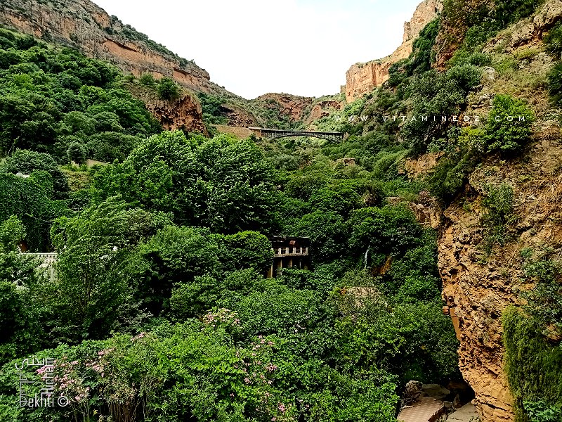 El-Ourit Waterfalls (Cascades ou chutes d'eau de Tlemcen)