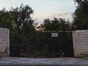 Pépinière Sidi Said Tlemcen