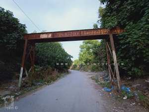 C'est quoi ce pont ou passerelle? (Saidi Said, Tlemcen)