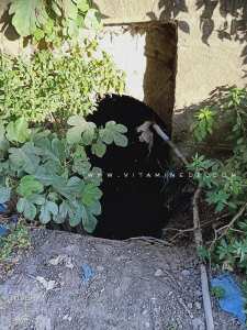 Les égouts de Tlemcen, descendent entre Sdi Haloui et Sidi Said