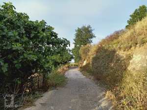 Tlemcen : Chemin supplombant Sidi El Haloui El Bali