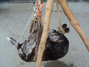 Vieille outre pleine d'eau