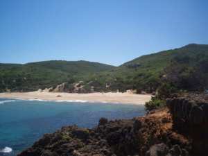 Plage boutribicha el kala
