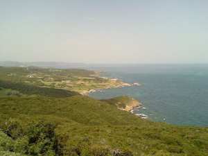 Plage M'ziraa (El Taref)