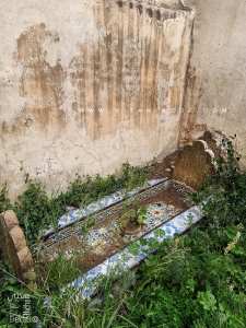 Qui sont les familles enterrées dans le carré de Sidi Senoussi?