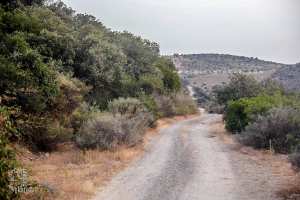 Piste entre Beni Add (Les grottes) et El Mefrouche passant par Beni Yahia