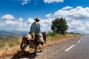 Montagnes de Kabylie