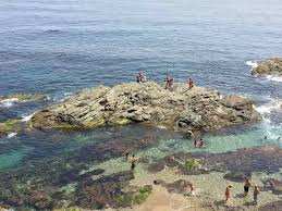 Plage Petit Bassin (Alger)