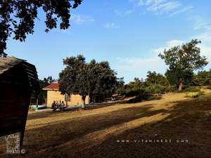 Joli espace vert et cafétéria à la forêt de Hafir (Tlemcen)