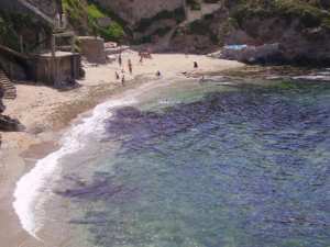 Plage Belvédère (Alger)