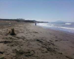 Plage Douaouda Marine ou Colonel Abbes (Tipaza)