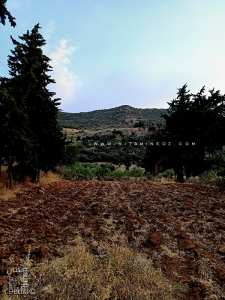 Champ près de Ain Bou Ighzene dans la vallée de Ahl Ghafer