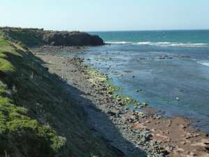 Plage Azemmour & Novi (Tipaza)