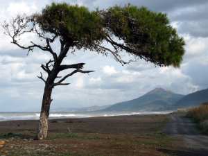 Plage Oued Sebt (Tipaza)