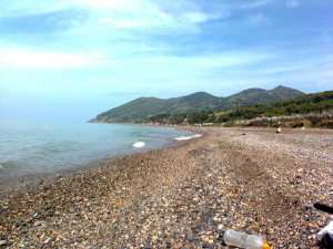 Plage Larhat 1 (Tipaza)