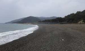 Plage Oued Harbil (Tipaza)