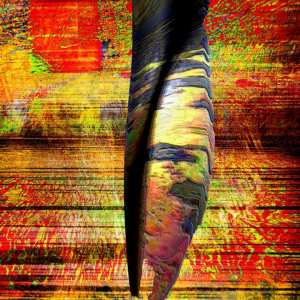 Artiste Robert Chapman