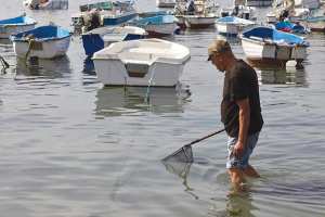 El Marsa (Alger) - ARRÊT SUR IMAGE. Vu à Tamenfoust  Chasse aux méduses