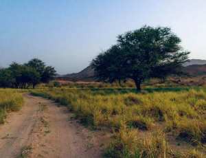 Illizi, une destination a remettre dans les circuits touristiques, #Algérie..!