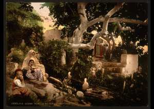 Famille maure dans un cimetière. Alger (Algérie)