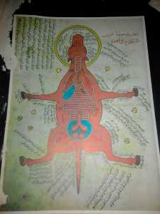 العلوم في الإسلام