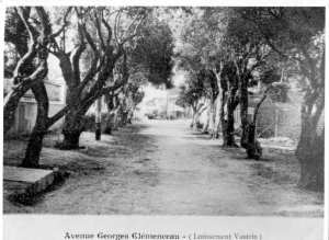 Avenue Georges Clémenceau (Lotissement Vautrin)