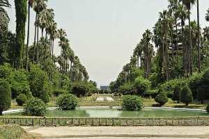 Jardin d'essai- El Hamma- Alger