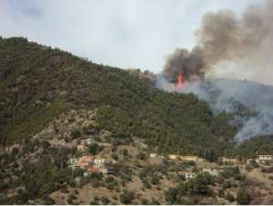 La forêt entre Krima et Ijemati, ravagée par un incendie