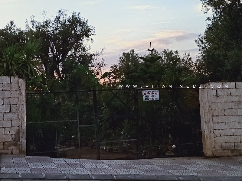Pépinière Sidi Said Tlemcen