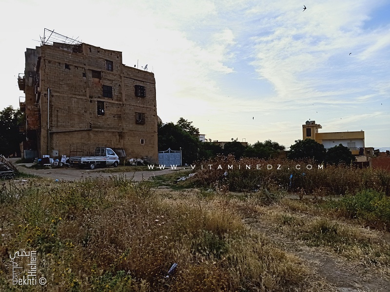 Parcelles de terrain abandonnées à Sidi Said (Tlemcen)
