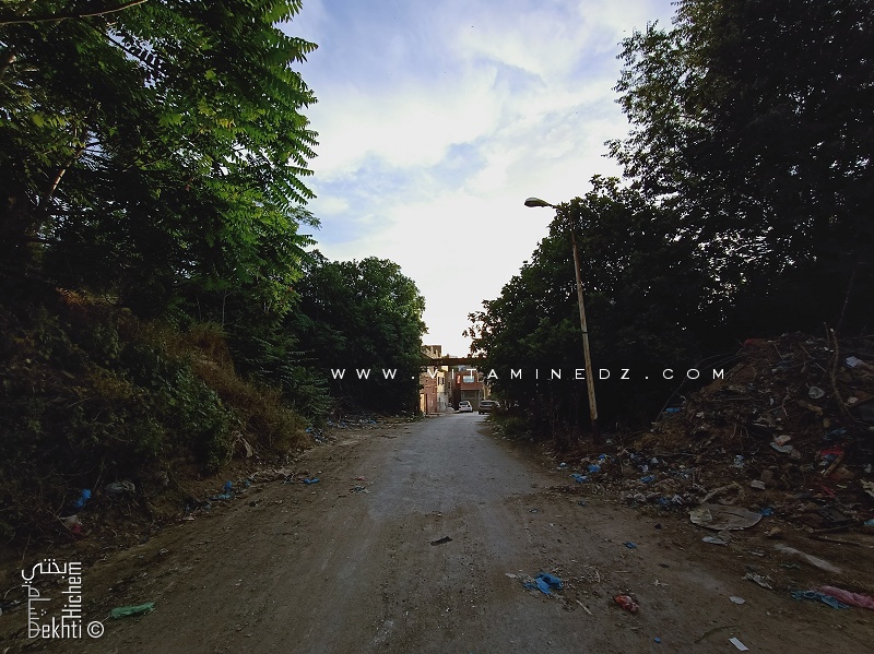 Rue goudronnée mais transformée en décharge (entre Saidi Said et Sidi Haloui, Tlemcen)