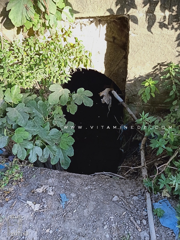 Les égouts de Tlemcen, descendent entre Sdi Haloui et Sidi Said