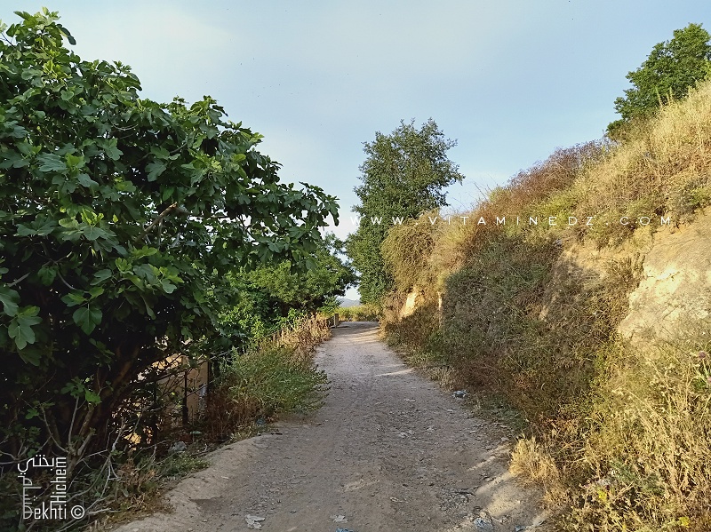 Tlemcen : Chemin supplombant Sidi El Haloui El Bali