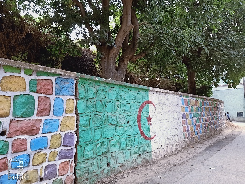 Embellissement du Quartier Sidi Haloui à Tlemcen par ses habitants